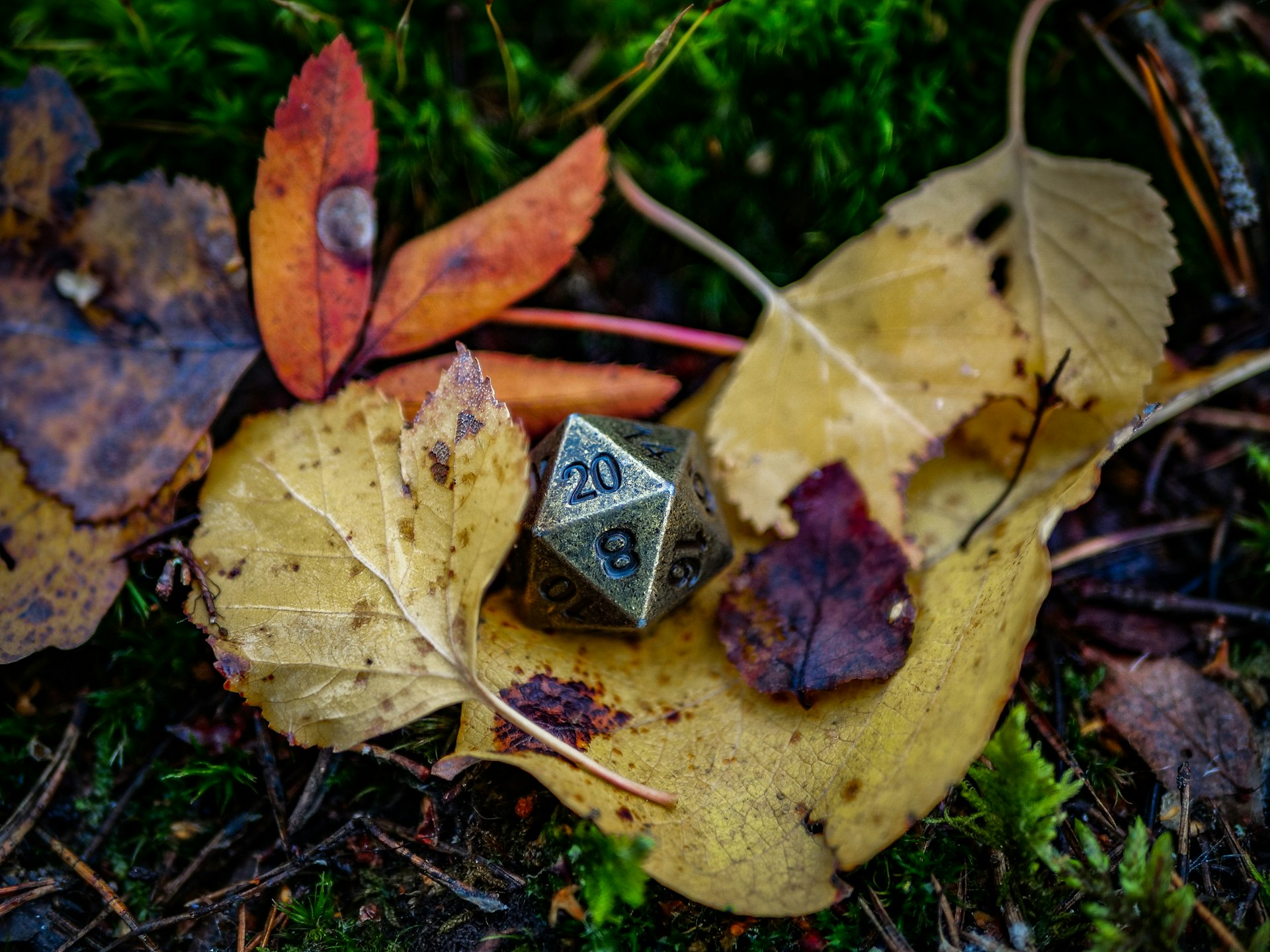 A metal dice sitting on top of a leaf covered ground